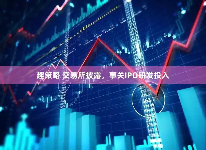 趣策略 交易所披露，事关IPO研发投入